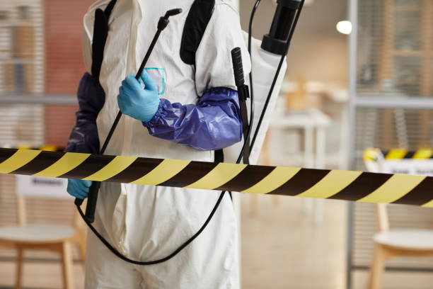 Professional Sewage Cleanup technician working in Hillside, NJ